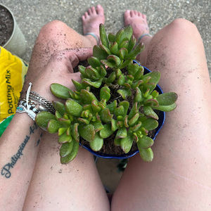 Meet your Posher, Emma